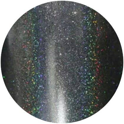 PNS Holo Rainbow Glitter 10