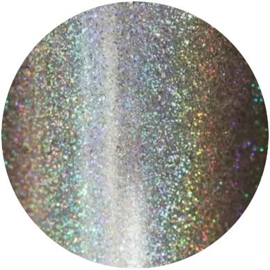 PNS Holo Rainbow Glitter 8