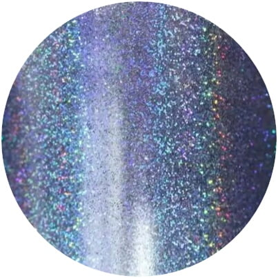 PNS Holo Rainbow Glitter 7